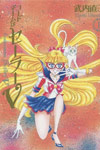 Codename Sailor V Kanzenban Vol 1