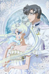 Pretty Guardian Sailor Moon Crystal: Vol 11