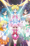 Pretty Guardian Sailor Moon Crystal: Vol 13