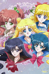 Pretty Guardian Sailor Moon Crystal: Vol 9
